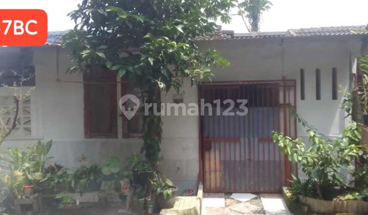 Dijual Rumah Murah Siap Huni dalam Cluster di Citra Indah City 5247BC Dijual Rumah Murah Siap Huni dalam Cluster di Citra Indah City 5247BC