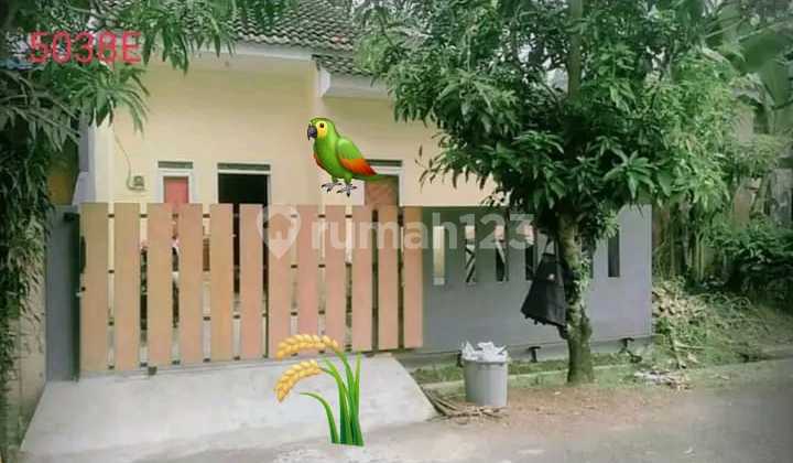 Dijual Rumah Siap Huni di Citra Indah City 5038E