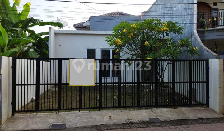 Rumah Halaman Luas Dekat Area Tanjung Barat Jakarta Selatan Rumah Halaman Luas Dekat Area Tanjung Barat Jakarta Selatan