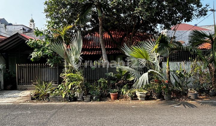 Rumah Hook Lingkungan Rapih di Cumi Cumi Rawamangun Jaktim Rumah Hook Lingkungan Rapih di Cumi Cumi Rawamangun Jaktim