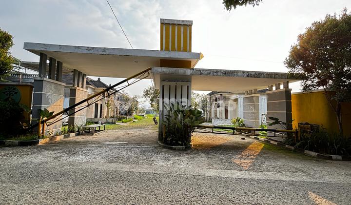 Land Cluster with 7 Houses Standing