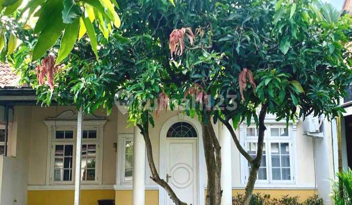 Dijual Rumah 1 Lantai Di Taman Crysant 2 BSD Tangerang Selatan