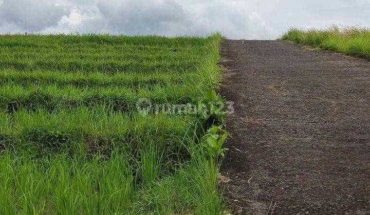 Land for Sale in Nyitdah Area, Kediri, Tabanan, Bali 2