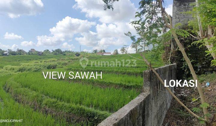 Dijual Tanah Dengan View Sawah 1