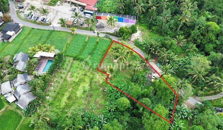 Dijual Tanah Komersil Kawasan Melinggih Payangan Ubu Bali 1