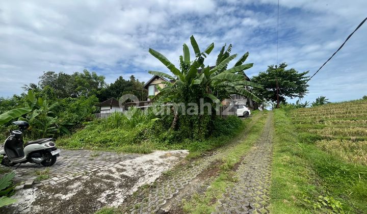Land for Sale One Step to Luna Beach Club, Tabanan Land for Sale One Step to Luna Beach Club, Tabanan