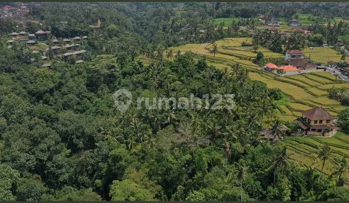Land for Sale in Kenderan Ubud, Excellent Location Near Ubud City Land for Sale in Kenderan Ubud, Excellent Location Near Ubud City