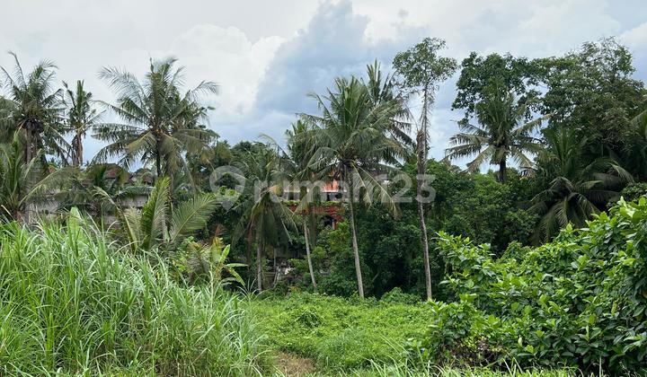 For Sale: Prime Land on Lodtunduh Road, Ubud