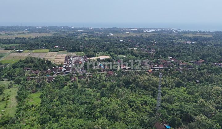 Dijual Lahan Datar Perumahan Area Negara Cocok Utk Invest
