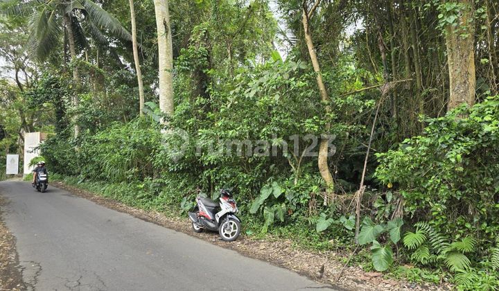 Dijual Lahan Tirta Tawar Ubud