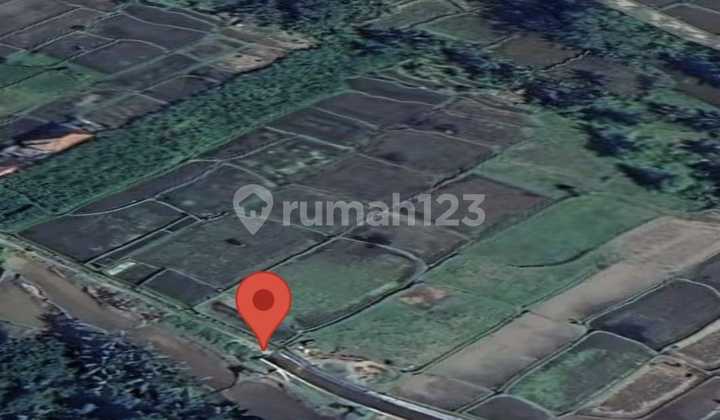 Dijual Lahan Bagus untuk Hotel Area Ubud Dijual Lahan Bagus untuk Hotel Area Ubud