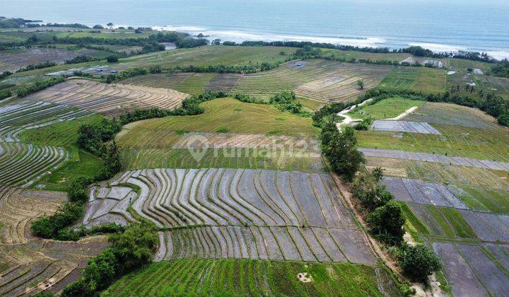 Di Jual Tanah Di Tibubiyu Tabanan Bali, Dekat Pantai Pasut 1