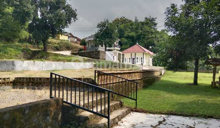 Dijual Kebun Mangga Dan Tempat Usaha Di Majalengka