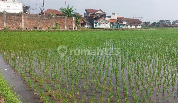 Tanah Di Rancaekek Bandung 2