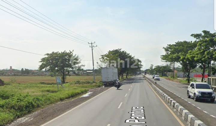 Tanah Padat Di Indramayu Siap Bangun 2