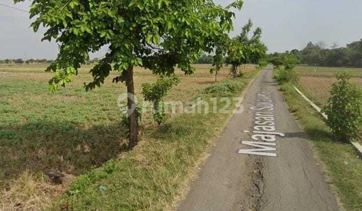 Tanah Sawah Dijual Di Majalengka 1