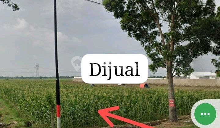 Tanah Di Brebes Cocok Untuk Gudang  1