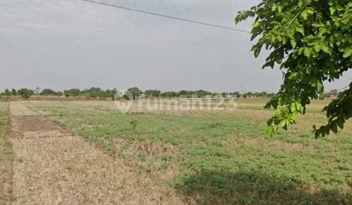 Tanah Sawah Dijual Di Majalengka 2