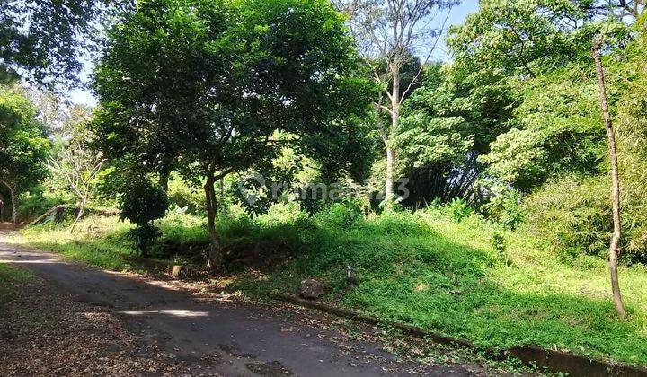 Tanah Kavling Di Cilimus Kuningan 2