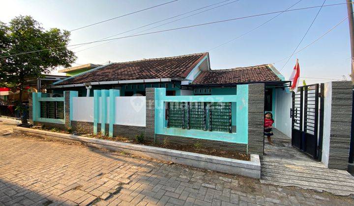 rumah hook murah bangau sambiroto belakang rumah sakit ketileng 2