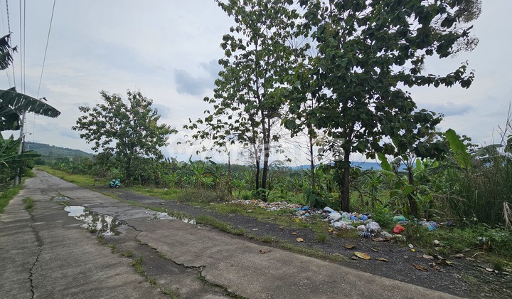 For Sale Land Accessible by Truck in Lamongan Rowosari Tembalang 2
