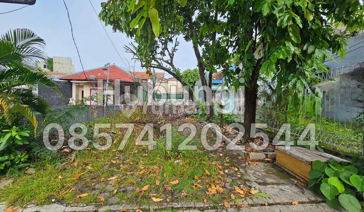 Jual Tanah Strategis Di Jalan Beringin Sekayu Dekat Jalan Tanjung 1