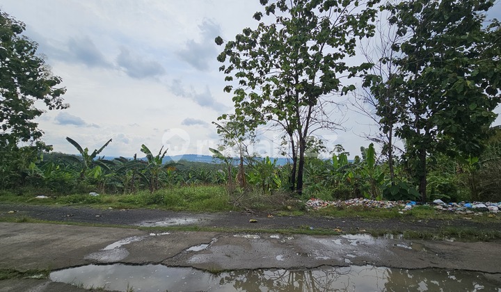 Dijual Tanah Bisa Diakses Truk di Lamongan Rowosari Tembalang 