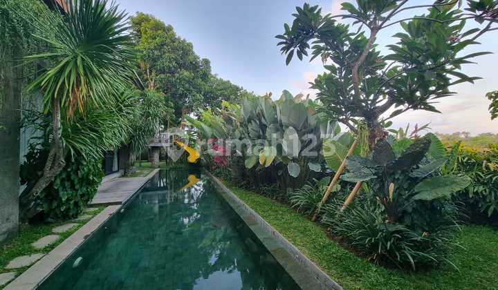 villa mewah di pusat kota Renon Denpasar Sanur,siap huni