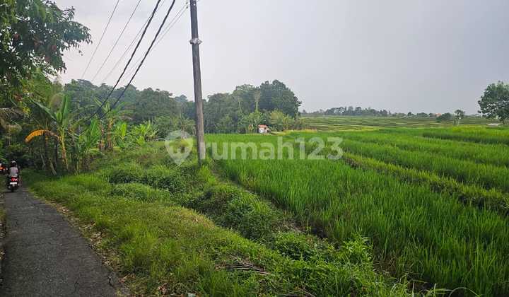 tanah di kedungu tanah lot,dpt sungai diblkng tanah,aspek kuning