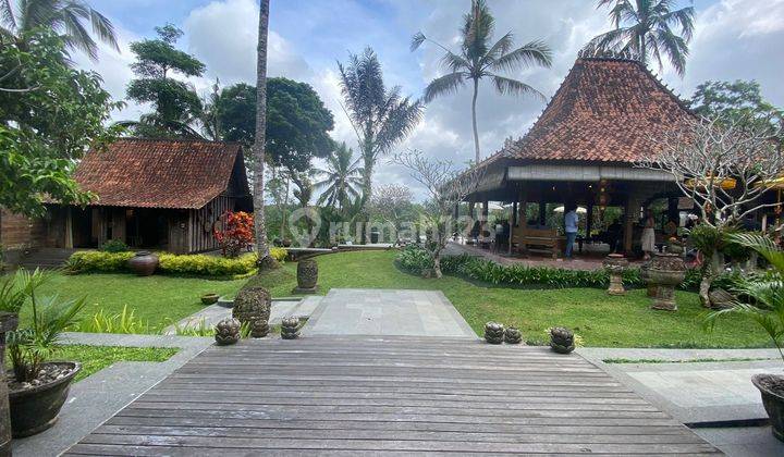 villa kompleks di payangan Ubud,view cantik,kondisi terawat 4