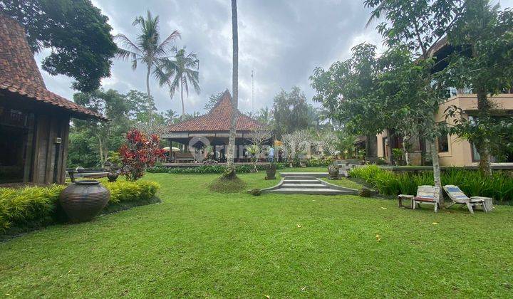 villa kompleks di payangan Ubud,view cantik,kondisi terawat 21