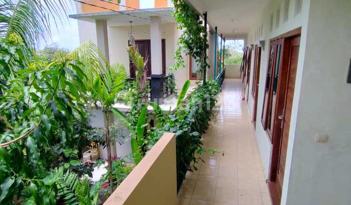 Rumah Dan Kost2an Murah di Goa Gong,view Gwk,konsep Apartment 17