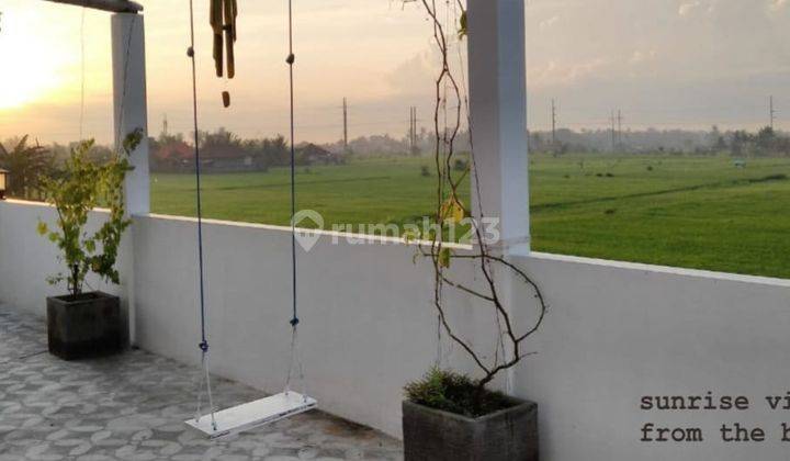 Rice Field View House on Purnama Beach, a rapidly developing area 2