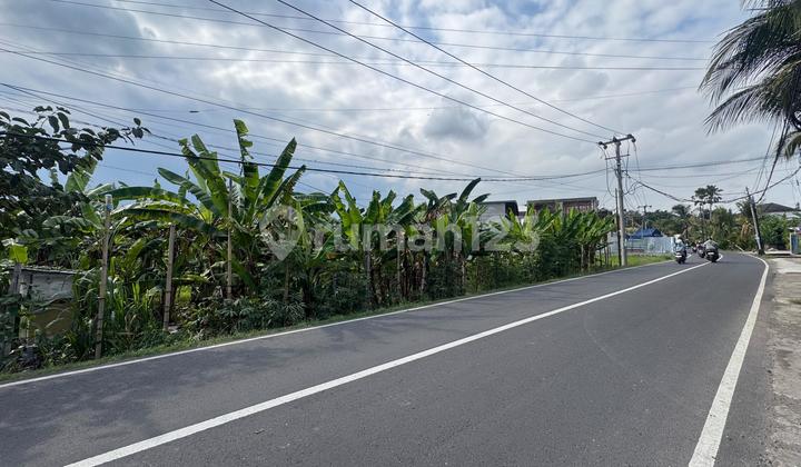 tanah murah di jalan utama tumbak bayuh canggu, lokasi strategis tanah murah di jalan utama tumbak bayuh canggu, lokasi strategis