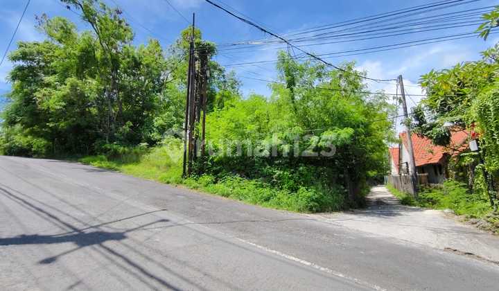 tanah di jalan utama Labuan sait padang padang pecatu,dkt pantai tanah di jalan utama Labuan sait padang padang pecatu,dkt pantai