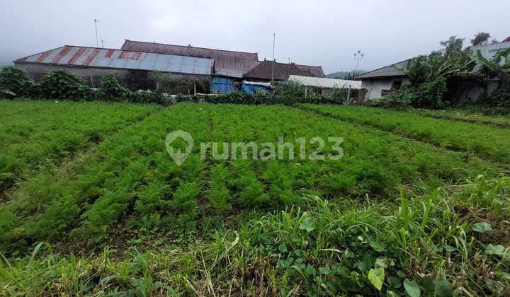tanah kavling premium di Bedugul baturiti,dkt dgn Kebun Raya tanah kavling premium di Bedugul baturiti,dkt dgn Kebun Raya
