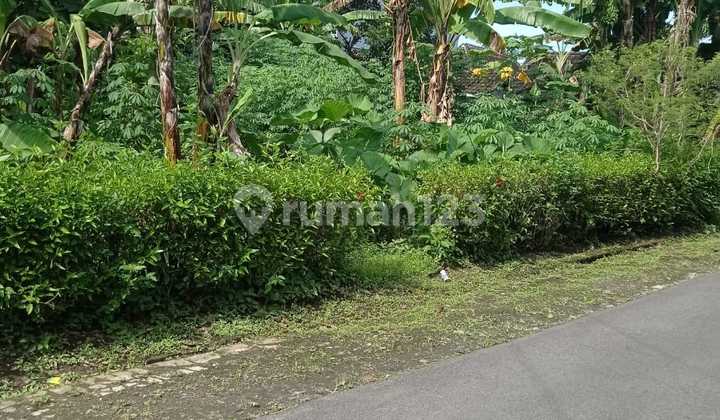 Tanah Jalan Raya Sragen Mojogedang Kota Sragen