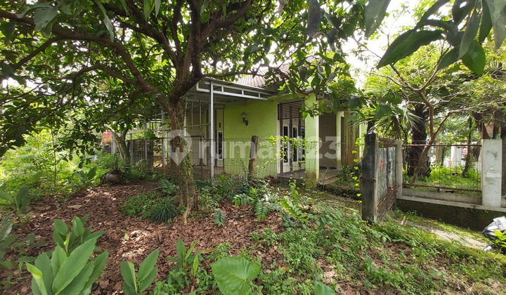 Tanah Bonus Rumah di Jalan Raya Semarang Solo Lopait Tuntang 2