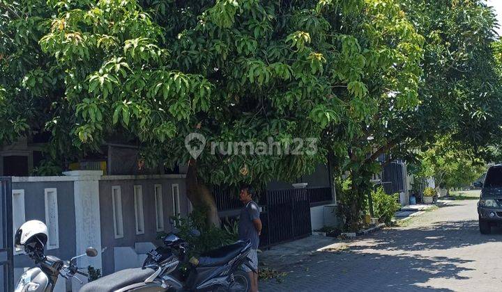 Rumah 1lantai Siap Huni Taman Wiguna Selatan Rungkut Surabaya