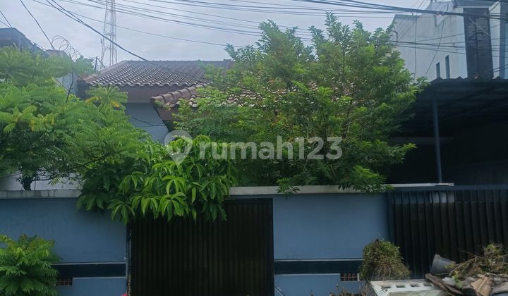 Rumah Asri Komplek Dpr Pribadi Joglo Jakarta Barat Rumah Asri Komplek Dpr Pribadi Joglo Jakarta Barat