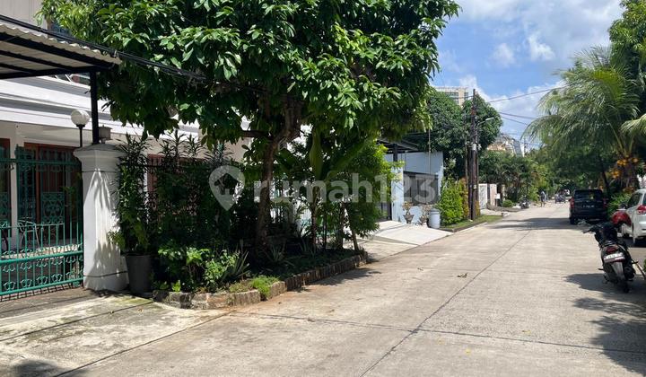 Rumah Besar Jl Rajawali Selatan Gunung Sahari Utara Sawah Besar Jakpus  2