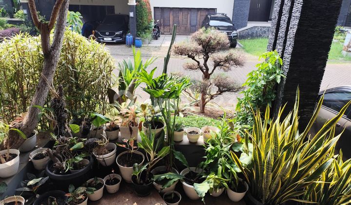 Rumah Modern Raflesia Hills Blok M6 Depok Lelang Bank 2