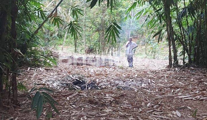 LAHAN KEBUN  DEKAT SETU CIGUDEG 2