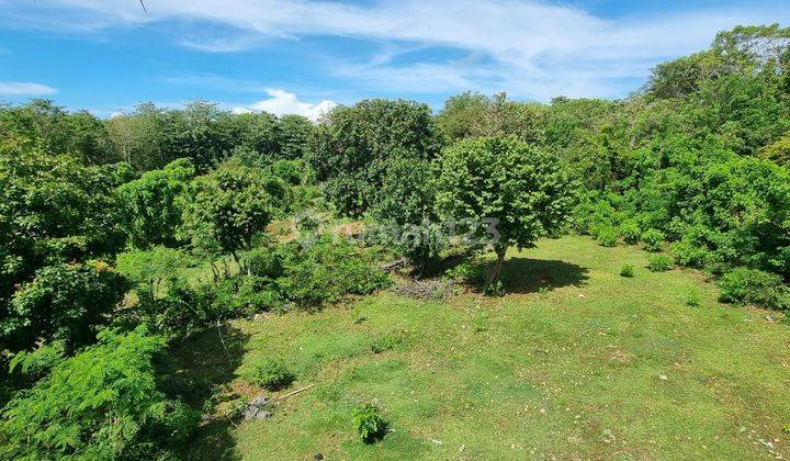 5000m2 Leasehold Land In Uluwatu Perfect Investment  2