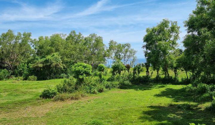 5000m2 Leasehold Land In Uluwatu Perfect Investment Opportunity 1