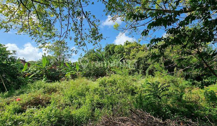 Prime Leasehold Land For Investment Opportunity, Jimbaran 2