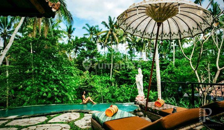 Boutique Hotel With Potential 30 Years Leasehold Ubud Area 2