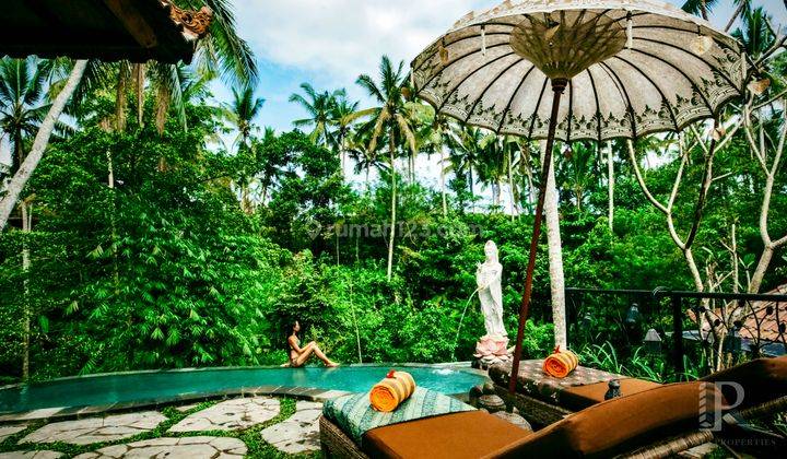 Boutique Hotel With Potential Freehold Ubud Area 2