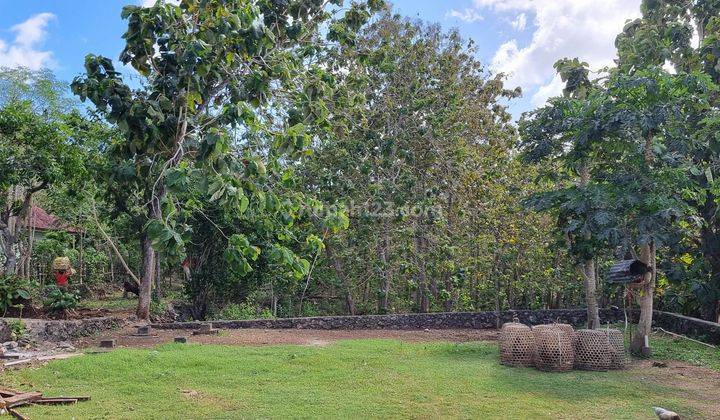 Best Freehold Land Deal In Bali 200m2 For Free Jimbaran 2