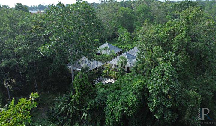 Villa Tepi Sungai Yang Tenang Di Tabanan, Bali 1